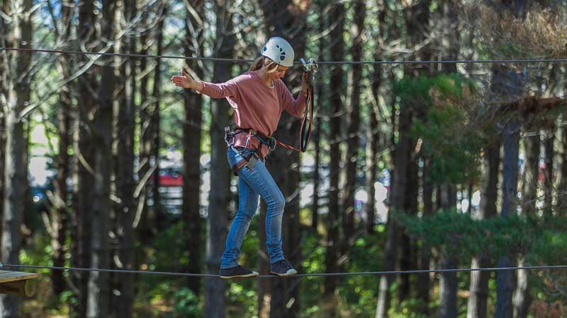 Tree Adventure's 'High Flyer' option is perfect for confident first timers right through to hardened adrenaline junkies looking for a thrilling adventure high in the tree canopy.